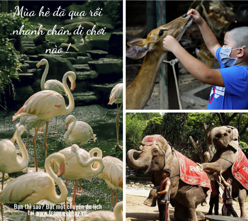 Thảo Cầm Viên – Biển Tiên Đồng