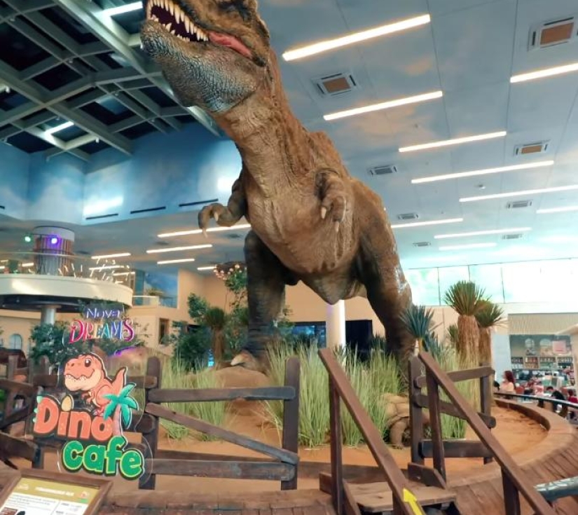 Tour Trải Nghiệm Thành Phố & Công Viên Khủng Long Dino