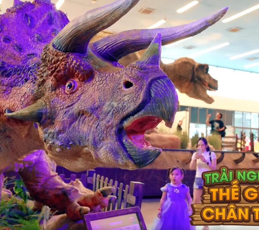 Tour Trải Nghiệm Thành Phố & Công Viên Khủng Long Dino