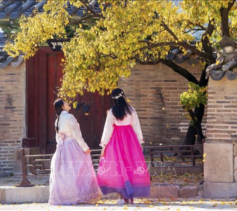 Hàn Quốc: Vườn Ban Mai Tĩnh Lặng - Lotte World - Cung Điện 5 Ngày 4 Đêm