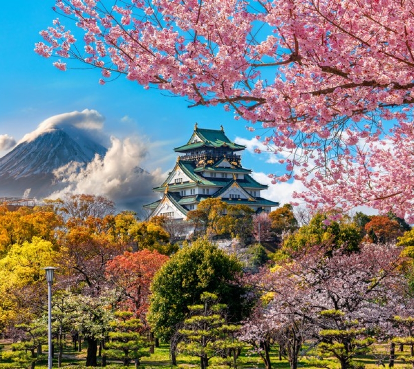 NHẬT BẢN RỰC RỠ MÙA HOA CHI ANH: OSAKA - KYOTO - PHÚ SĨ - NAGOYA - TOKYO (6 NGÀY 5 ĐÊM)