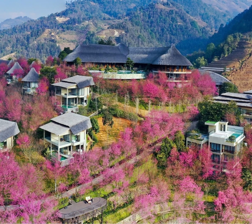 MÙ CANG CHẢI - ĐÈO KHAU PHẠ - TÚ LỆ - TRẠM TẤU 4N3Đ