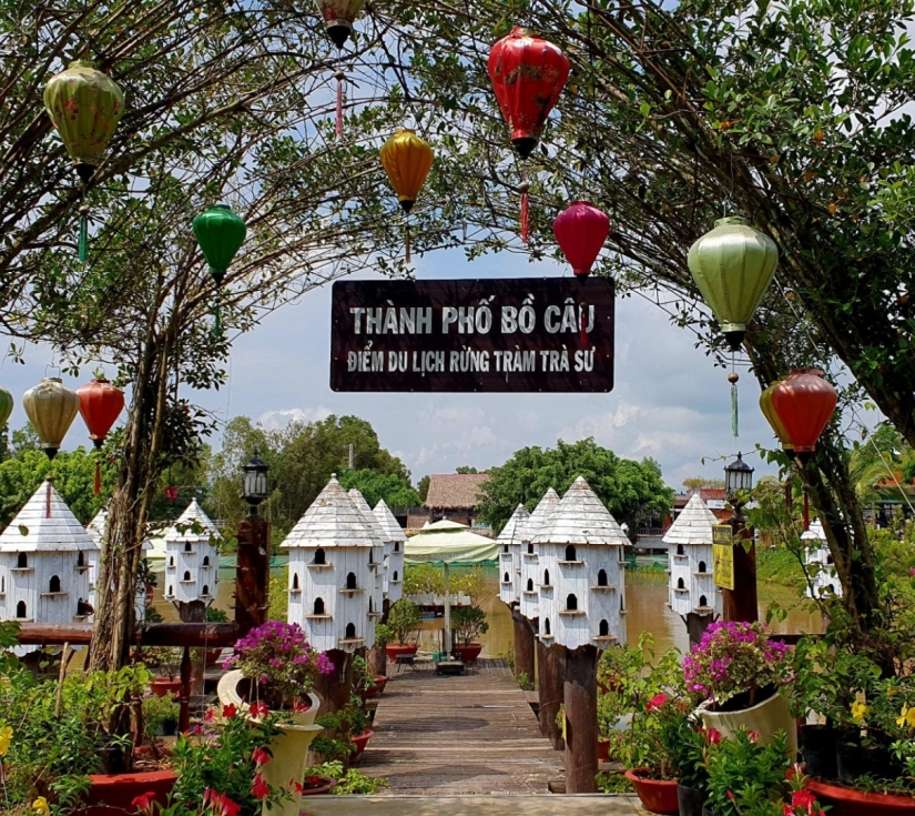 CHÂU ĐỐC– MIẾU BÀ CHÚA XỨ – CHÙA TÂY AN - RỪNG TRÀM TRÀ SƯ