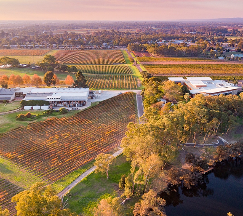 TÂY ÚC: PERTH – WAVE ROCK – SWAN VALLEY – PINNACLES SAFARI
