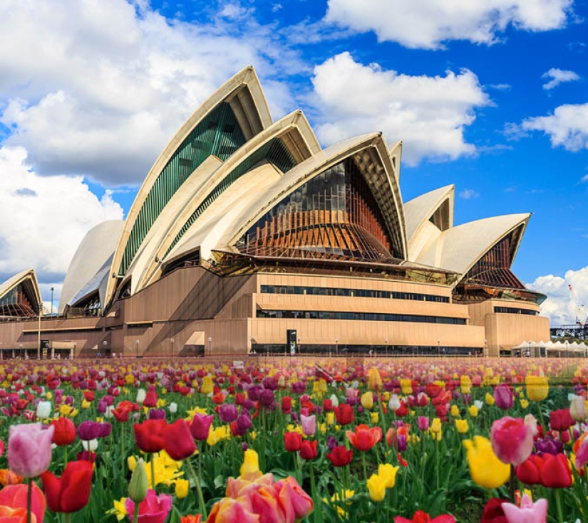 MONO SYDNEY (1)