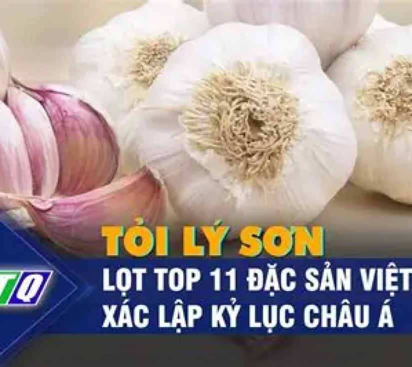 Tour Chu Lai - Lý Sơn - Đảo Lớn - Đảo Bé