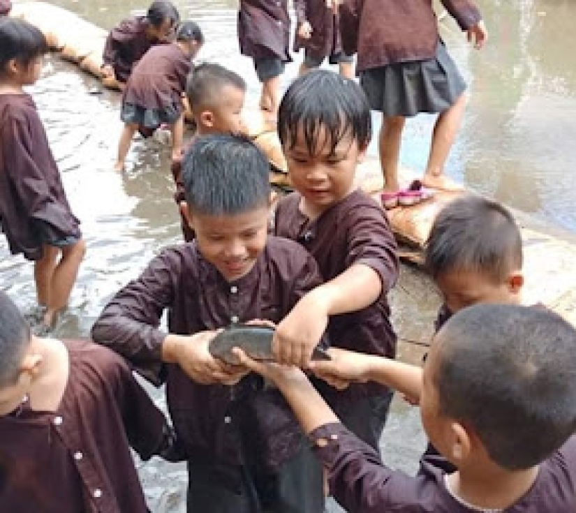 CHƯƠNG TRÌNH NGOẠI KHOÁ NÔNG TRẠI MINT FARM 