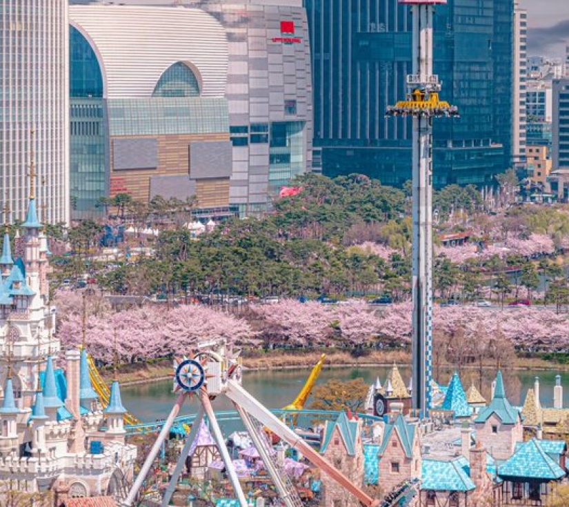 HÀNH TRÌNH TÌNH YÊU TRÊN ĐẤT HÀN: SEOUL - VƯỜN BAN MAI TĨNH LẶNG - LOTTE WORLD (5 NGÀY 4 ĐÊM)