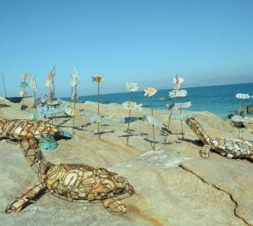 tour Cù Lao Câu - Thiên đường ngắm san hô - Cổ Thạch - Mũi Né