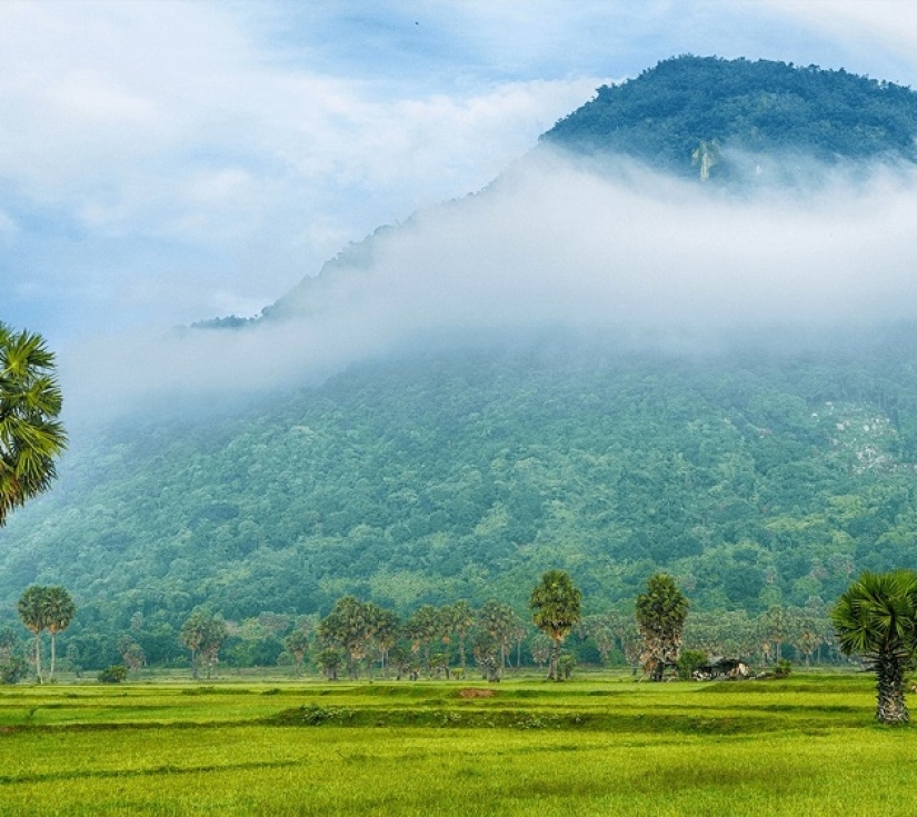 TOUR CHÂU ĐỐC VIẾNG BÀ MIẾU BÀ CHÚA XỨ NÚI SAM – NÚI CẤM/RỪNG TRÀM TRÀ SƯ