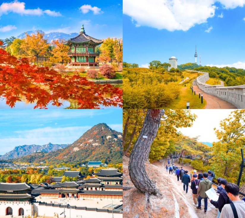 HÀNH TRÌNH TÌNH YÊU TRÊN ĐẤT HÀN: SEOUL - VƯỜN BAN MAI TĨNH LẶNG - LOTTE WORLD (5 NGÀY 4 ĐÊM)