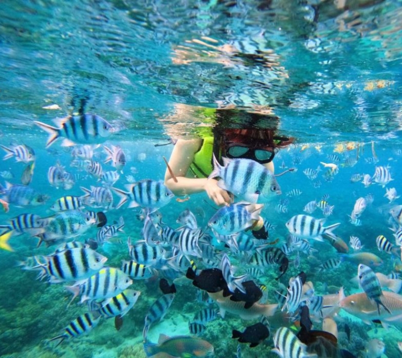 VỊNH NHA TRANG – HÒN TẰM – HÒN LAO ĐẢO KHỈ -  THÁC YANG BAY