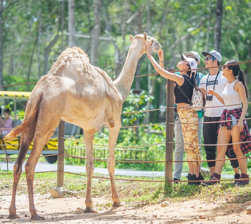 Tour Vườn Thú Mỹ Quỳnh 