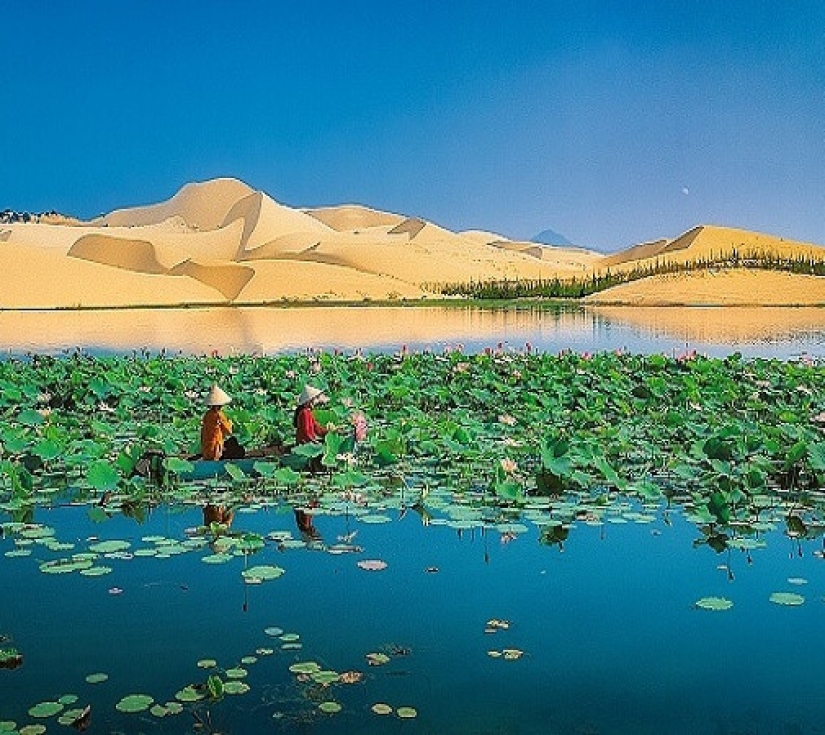 PHAN THIẾT – MŨI NÉ  SA MẠC HOANG SƠ