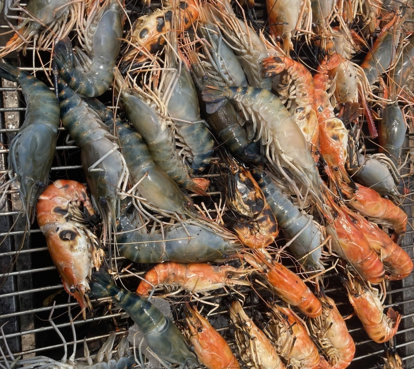 TRẢI NGHIỆM DỠ CHÀ BẮT CÁ - TÔM 