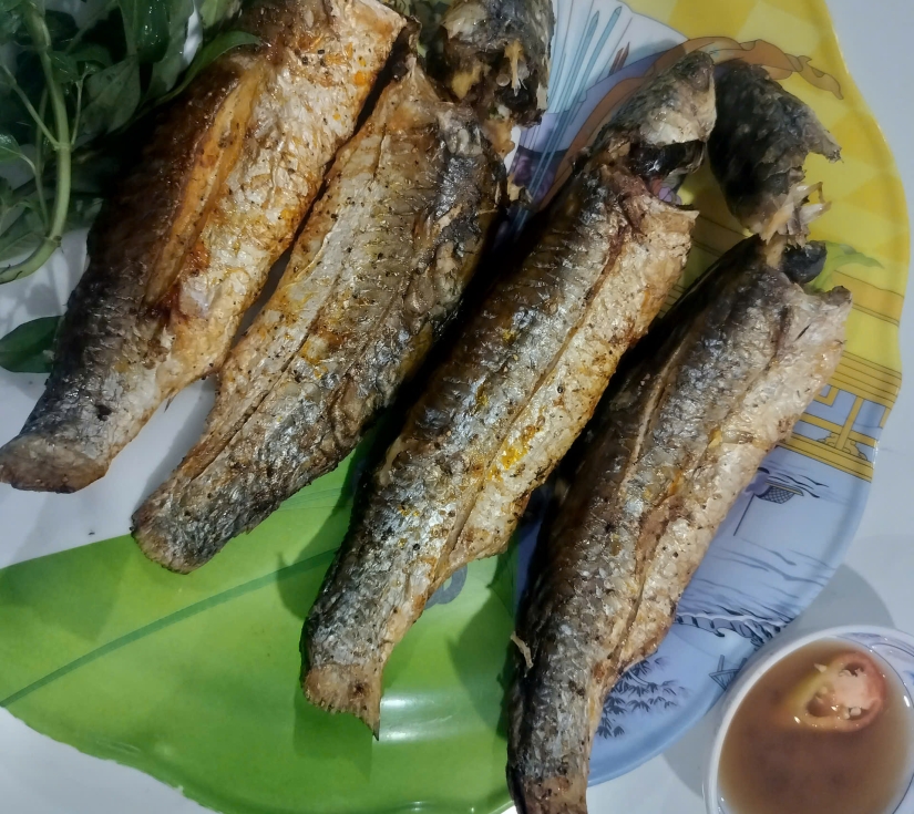  TRÀ VINH – ĐIỆN GIÓ DUYÊN HẢI – BIỂN BA ĐỘNG ( SÁNG ĐI CHIỀU VỀ ) 